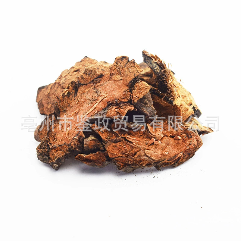 Guan Zhong Dried Cyrtomium Rhizome 500g Bulk TCM Herbal Material - Image 3