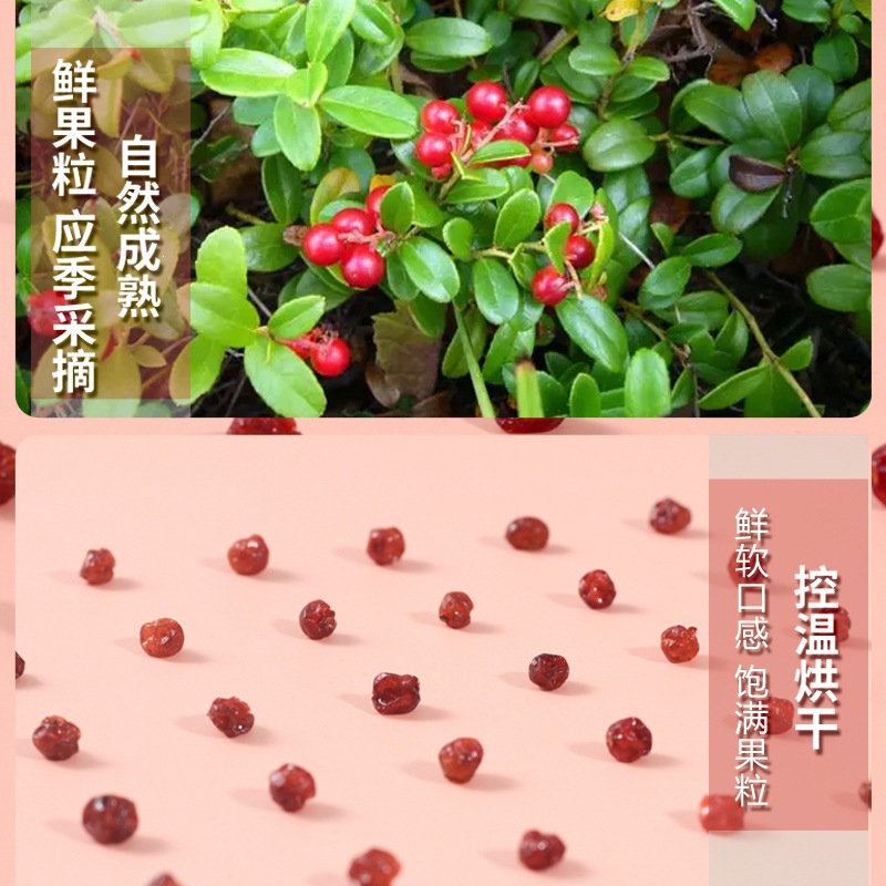 Dried Cranberries Wu Yue Mei 250g No Added Sugar Baking Snack Ingredient - Image 3