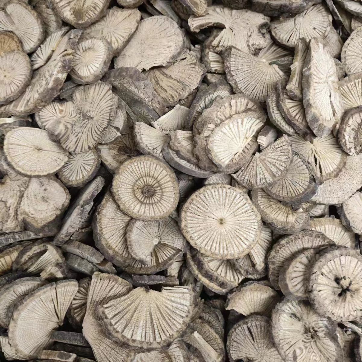 Qing Feng Teng (Sinomenium acutum) — Dried Herbal Stem for Decoction & Tea, 500g - Image 3