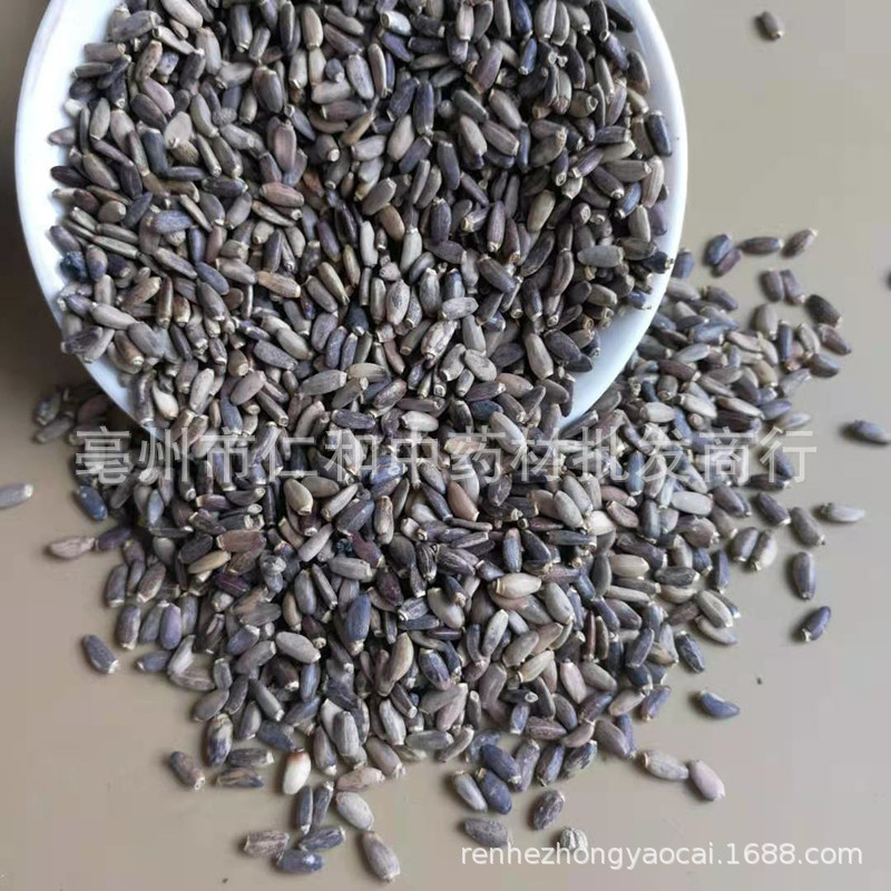 Milk Thistle Seeds (Silybum marianum) — Dried Shui Fei Ji Food Herb, 500g - Image 3
