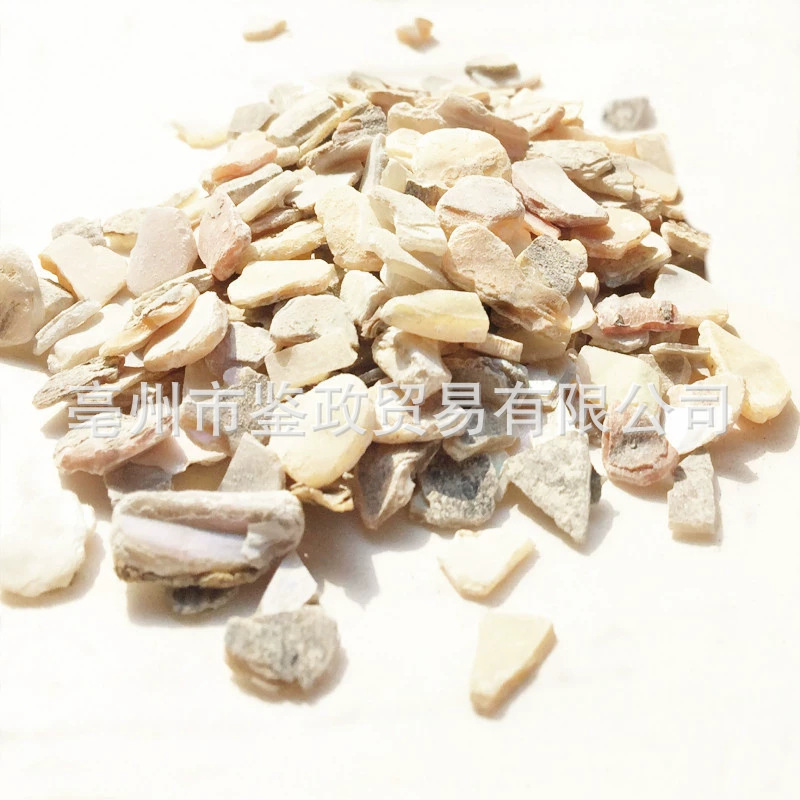 Zhen Zhu Mu Mother of Pearl Powder Raw Herb 500g Dried Concha Margaritifera for Traditional Decoctions - Image 5