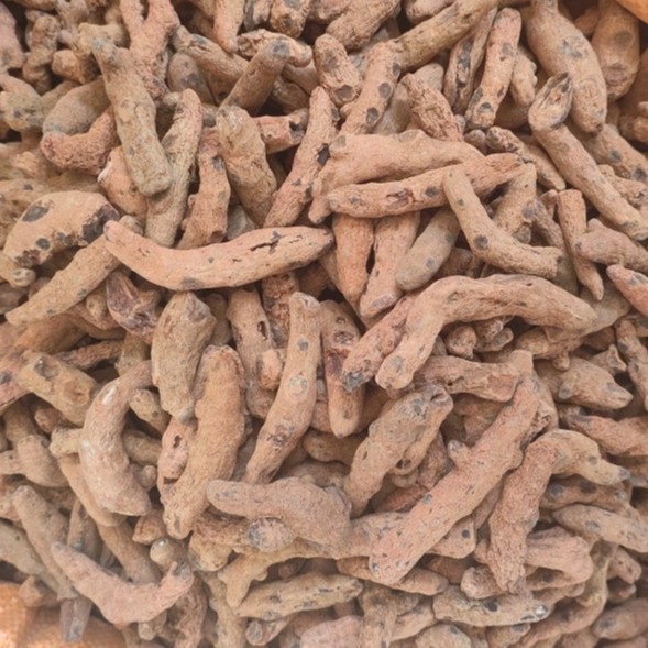 Xue San Qi (Blood Panax) — Dried Herbal Root, 250g Powder-Grade - Image 5