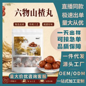 Six Herb Hawthorn Balls Liu Wu Shan Zha Wan 200g Sweet Sour Snack with Tangerine Peel Chinese Yam Poria