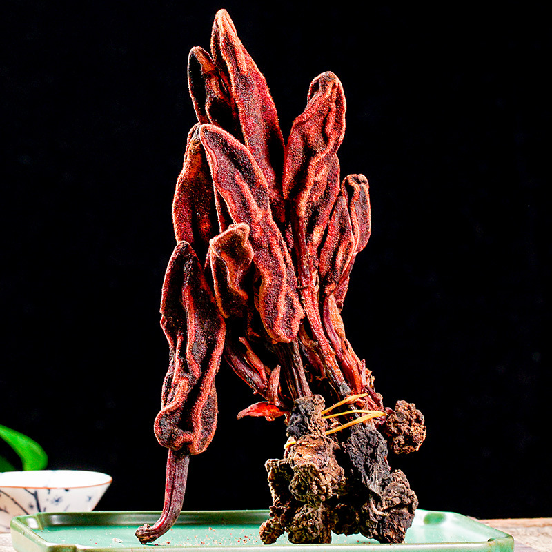Hui Chun Cao (Boschniakia rossica) — Dried Whole Herb, Food-Herb Botanical for Tea & Wine Soaks - Image 2