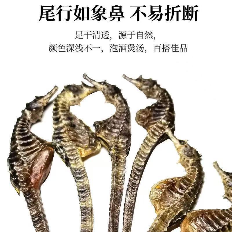 Dried Seahorse Hai Ma 3-4g Whole Dried Sea Dragon Tonic Herb for Culinary and Traditional Use - Image 2