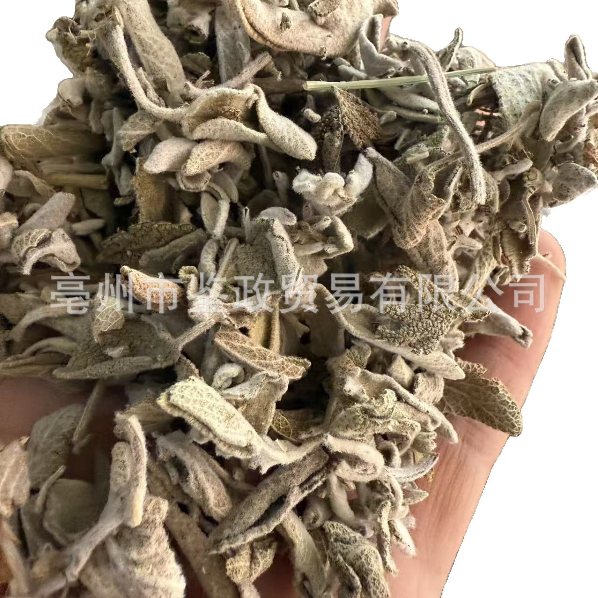 Dried Sage Leaves 500g Salvia officinalis Culinary Herb for Western Cooking and Herbal Tea - Image 5