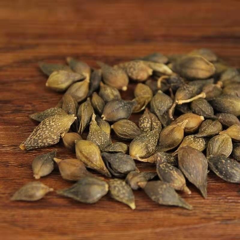 Dried Forsythia Fruit Lian Qiao 500g Natural Sulfur-Free Qing Qiao Bulk Herbal Tea Ingredient - Image 3