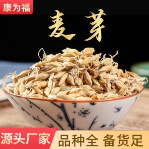 Malt (Hordeum vulgare) — Dried Food-Herb Grain for Tea, Soup & Congee