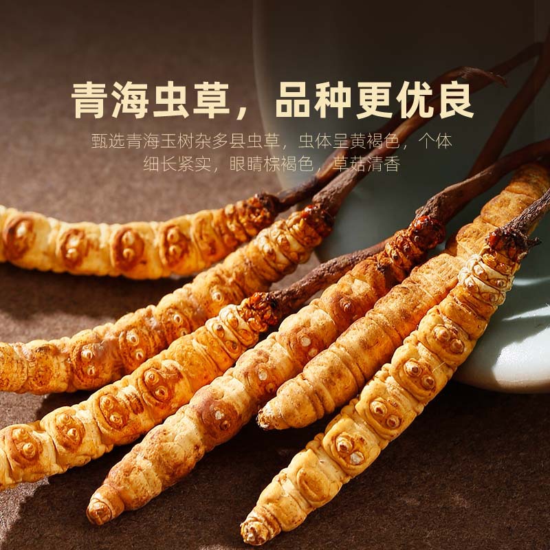 Premium Cordyceps Sinensis Dried Herb 1g Box 5 Stems Whole Fruiting Bodies for Traditional Soup and Decoction - Image 4