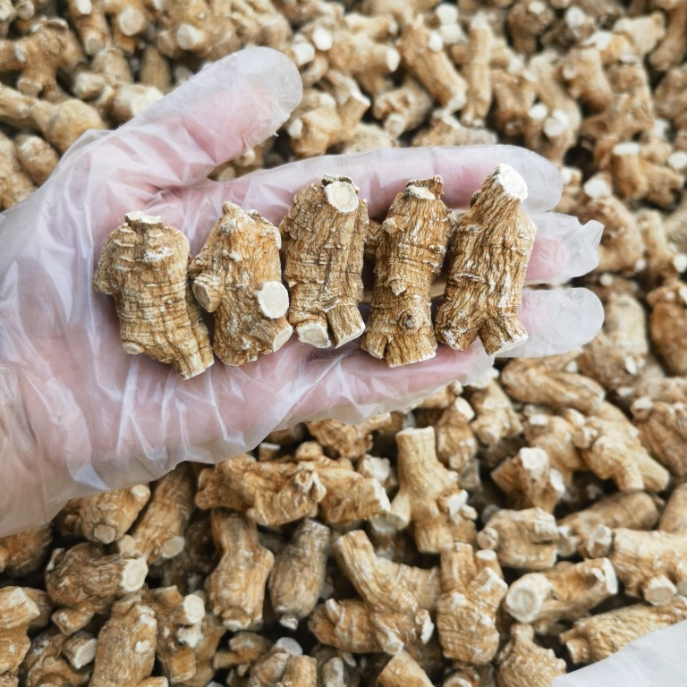 American Ginseng Root Xi Yang Shen Panax quinquefolius Whole Roots 500g Canadian Grown - Image 4