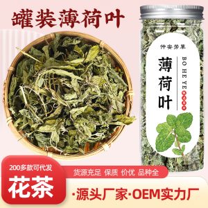 Dried Mint Leaves (Mentha haplocalyx) — Canned Mint Herbal Tea, 70g