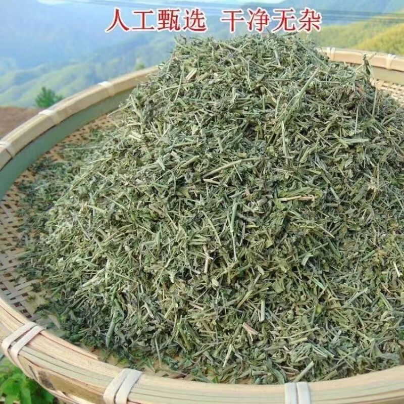 Dried Tou Gu Cao 透骨草 500g Natural Sun-Dried Chinese Herb for External Wash and Foot Soak - Image 5