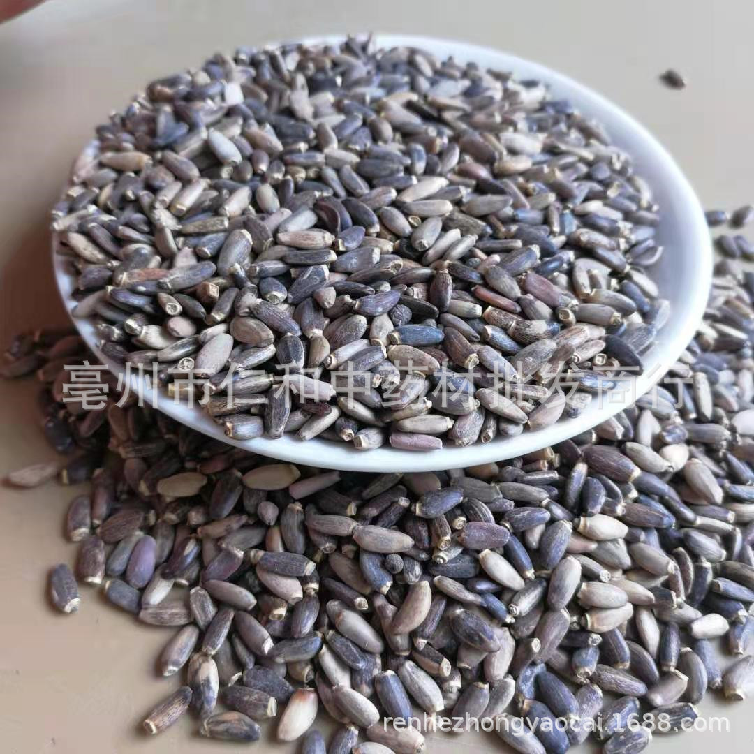 Milk Thistle Seeds (Silybum marianum) — Dried Shui Fei Ji Food Herb, 500g - Image 2