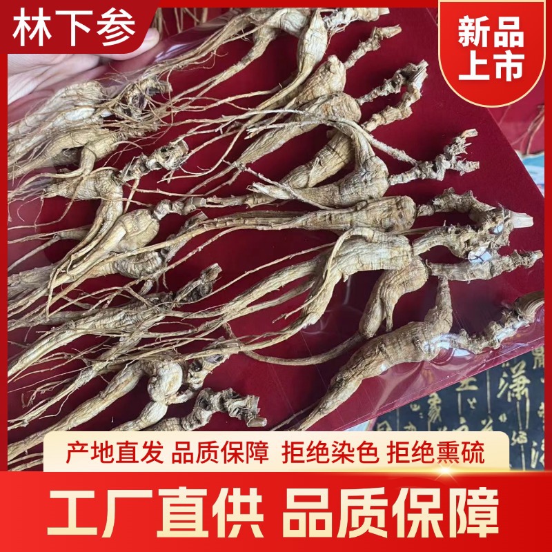 Wild-Simulated Ginseng Root 100g Sun-Dried Jilin Forest Grown 18-20 Year - Image 3