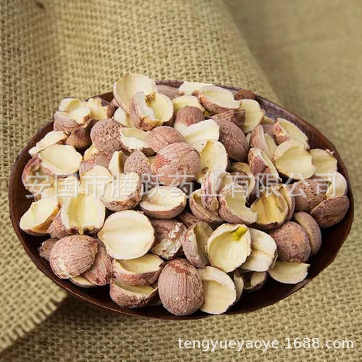Dried Red Lotus Seeds Hong Lian Zi Whole Kernel Hunan Origin Bulk Herbal Food - Image 2