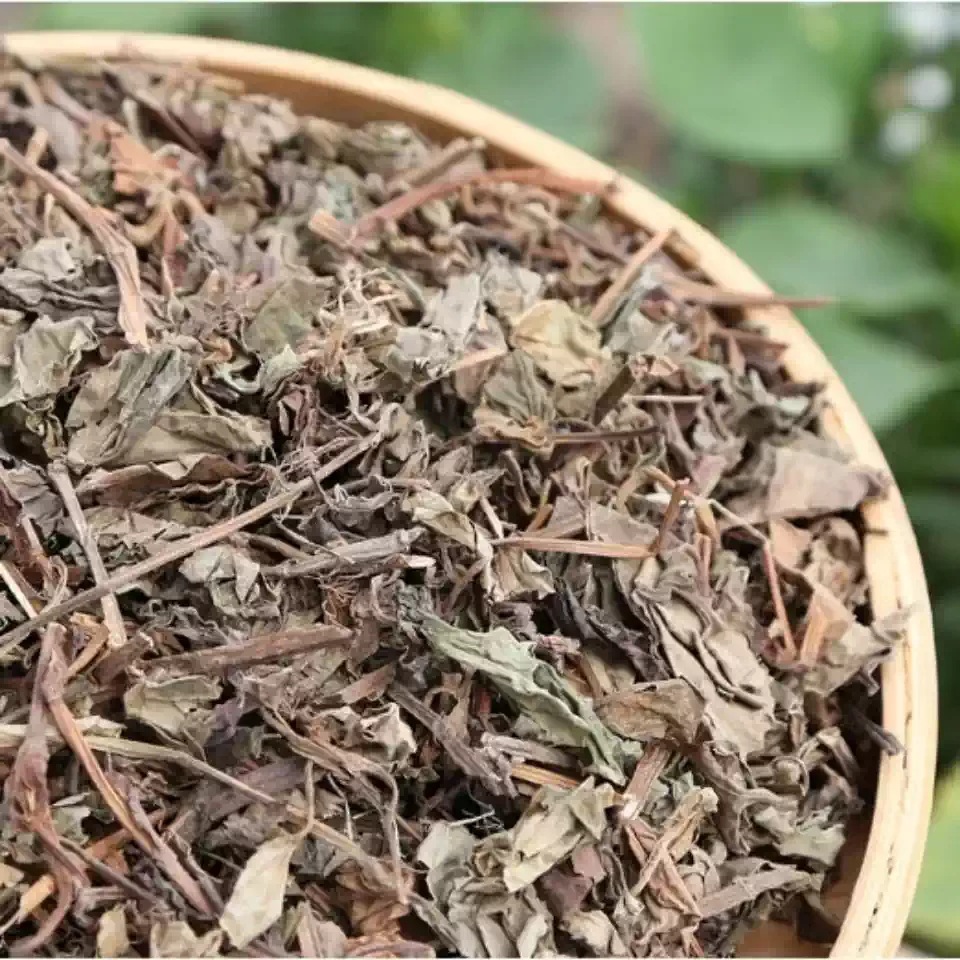 Dried Houttuynia Herb Yu Xing Cao Fish Mint Whole Herb for Tea and Infusions 500g Sichuan Grown - Image 2