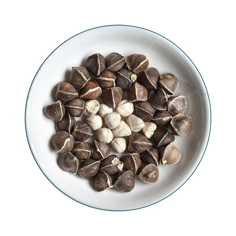 Moringa Seeds (Moringa oleifera) — La Mu Zi, Large-Grade Dried Food Herb, 500g - Image 4