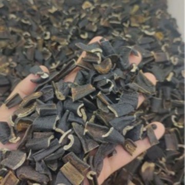 Dried Leech (Hirudo nipponica / Poecilobdella manillensis) — Sun-Dried Medicinal Leech, Food-Grade Herb - Image 2