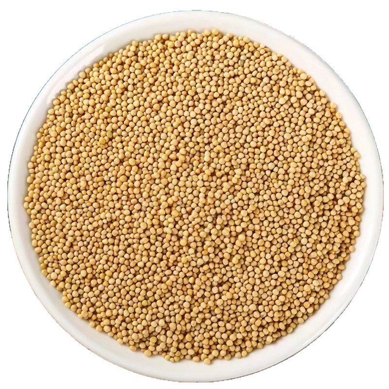 Bai Jie Zi (Sinapis alba) — Sichuan White Mustard Seed, Dried Food Herb 500g - Image 5