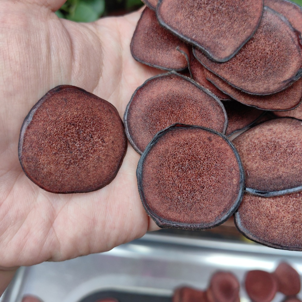 Deer Antler Blood Slices Lu Rong Xue Pian 50g Dried Slices for Soup and Wine Infusion - Image 3