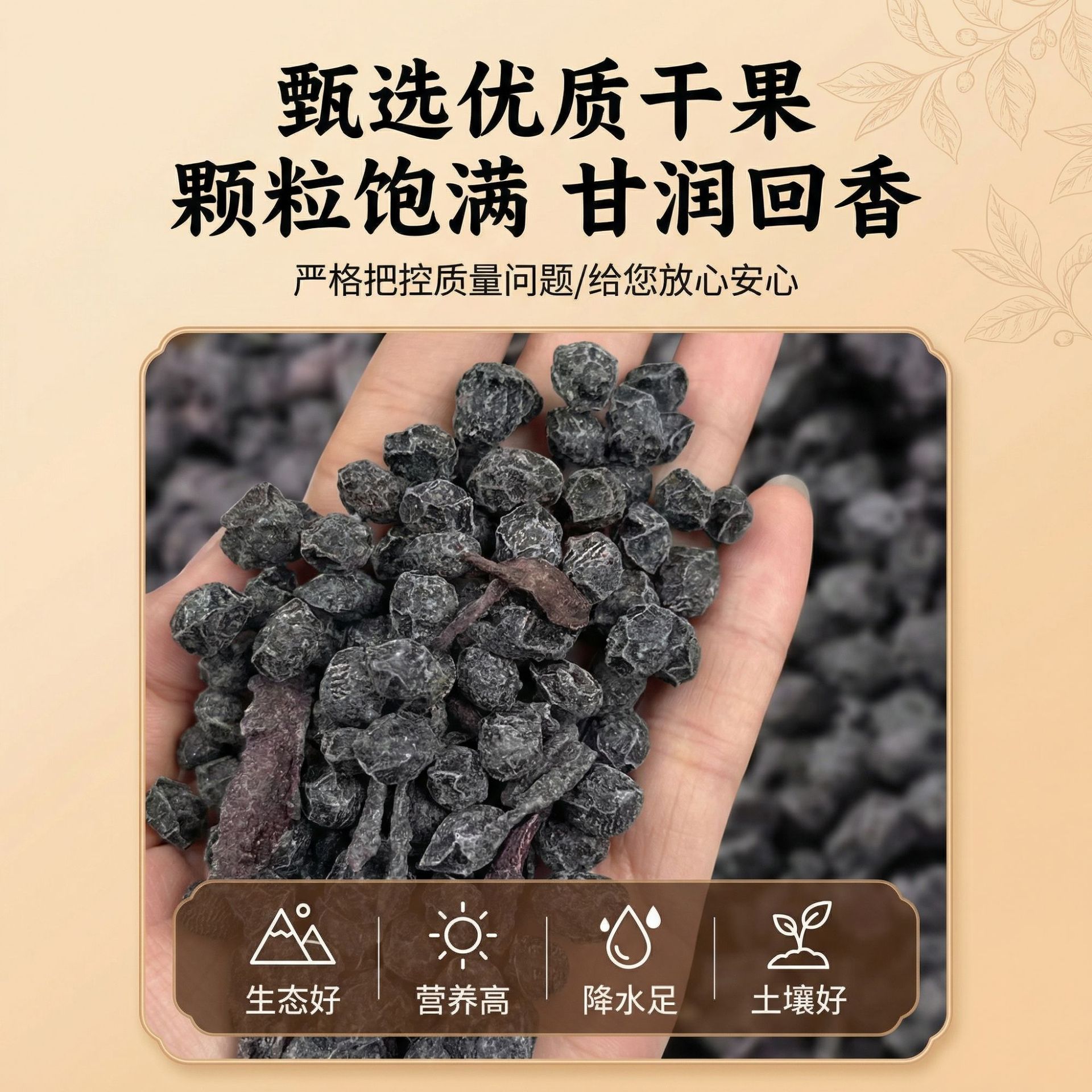Dang Gui Black Beans (Angelica sinensis & Black Soybean) — Handcrafted Herbal Snack with Codonopsis & Astragalus, 250g - Image 4