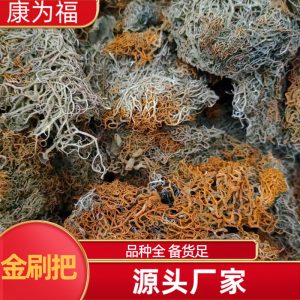 Jin Shua Ba (Song Shi Rui / Golden Broom Lichen) — Dried Chinese Herbal Ingredient, 500g