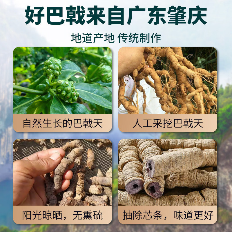 Morinda Root Ba Ji Tian 500g Dried Chinese Herb for Decoction and Herbal Wine - Image 3