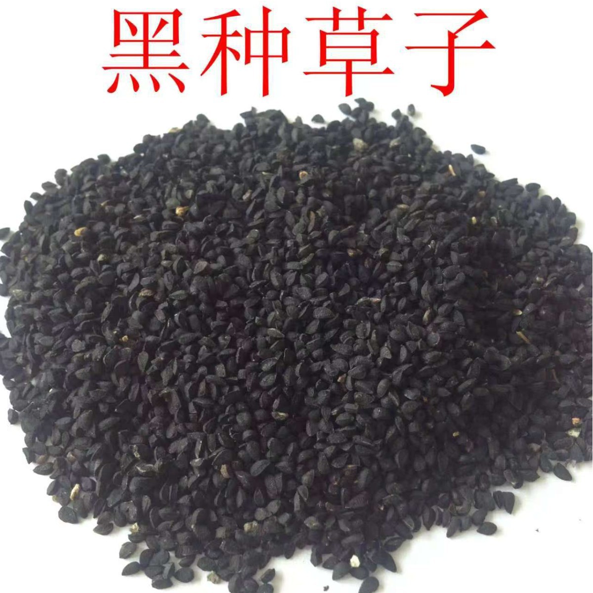 Black Cumin Seed (Nigella sativa) — Xinjiang Black Seed, 500g Food Herb - Image 3