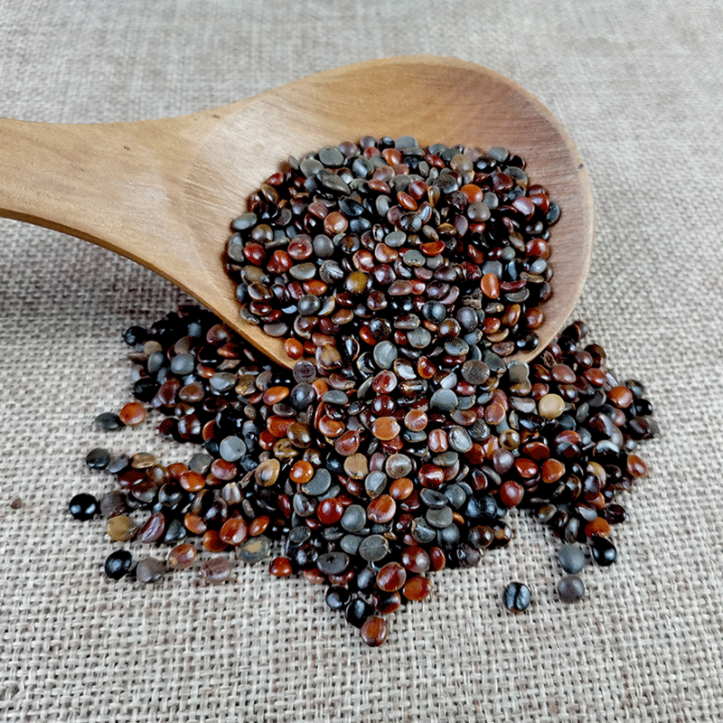 Dried Hovenia Dulcis Seeds Zhi Ju Zi Natural Raisin Tree Fruit for Herbal Tea and Decoction 500g - Image 2