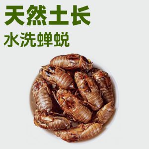 Chan Tui (Cryptotympana pustulata) — Wild-Harvested Dried Cicada Slough, 500g