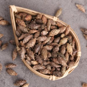Cang Er Zi Powder (Xanthium sibiricum) — De-Spined Cocklebur Fruit Powder, 500g
