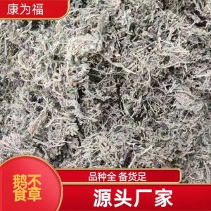 E Bu Shi Cao Powder (Centipeda minima) — Dried Food Herb, 500g