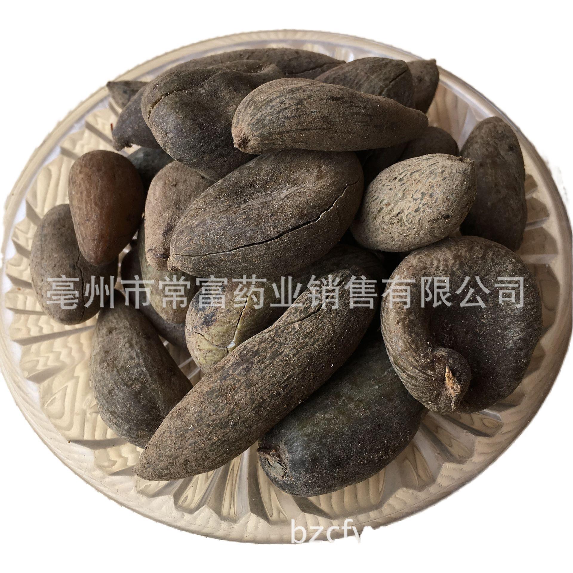 Chinese Gall Wuzhizi 五倍子 Dried Herb 500g Traditional TCM Decoction Ingredient Hunan Origin - Image 5