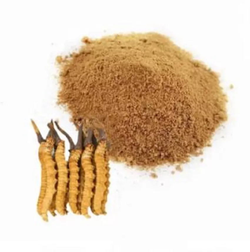 Cordyceps Powder Dong Chong Xia Cao 10g Dried Caterpillar Fungus Ground Herb for Daily Herbal Use - Image 3