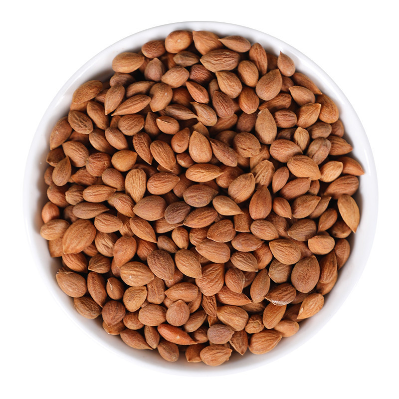 Wild Chinese Bush Cherry Seed Yu Li Ren 500g Dried Prunus Seed Kernels for Traditional Decoctions - Image 5