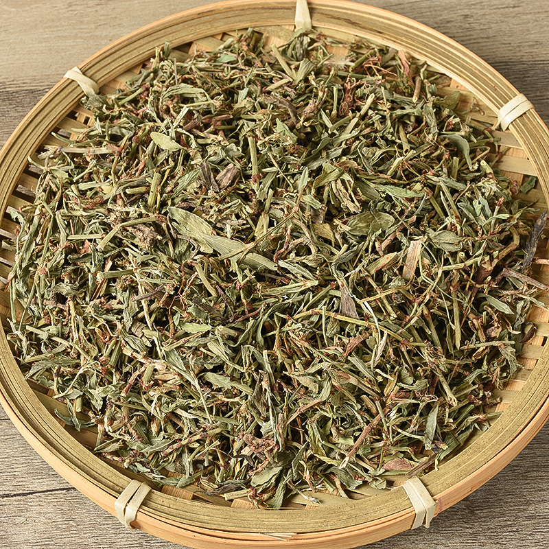 Bian Xu (Polygonum aviculare) — Dried Food Herb, Traditional Chinese Herbal Tea Ingredient - Image 2