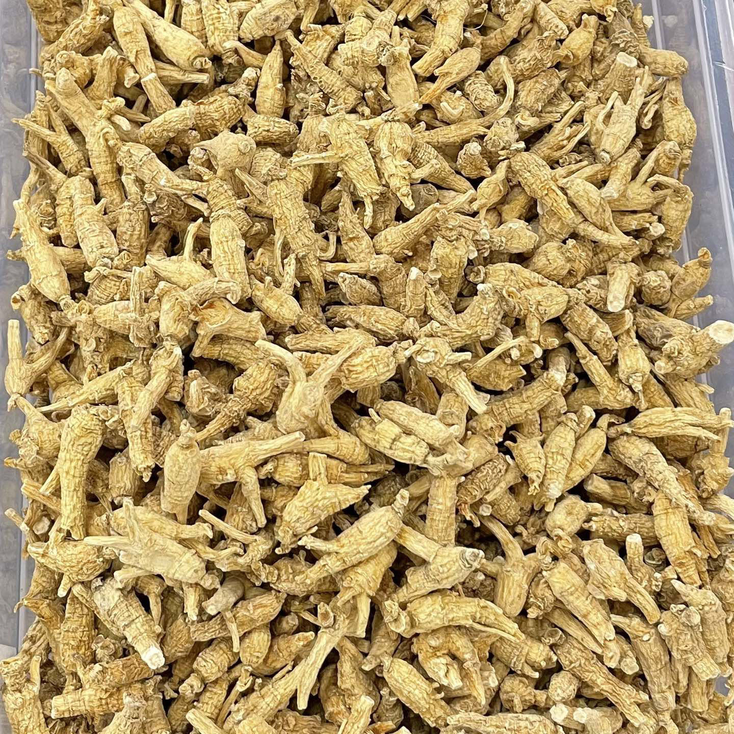 Canadian American Ginseng Hua Qi Shen 250g Whole Small Round Roots for Soup and Tea - Image 4