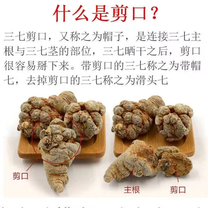 San Qi Notoginseng Root Tian Qi 20 Head Grade Dried Wenshan Panax Notoginseng 250g - Image 4