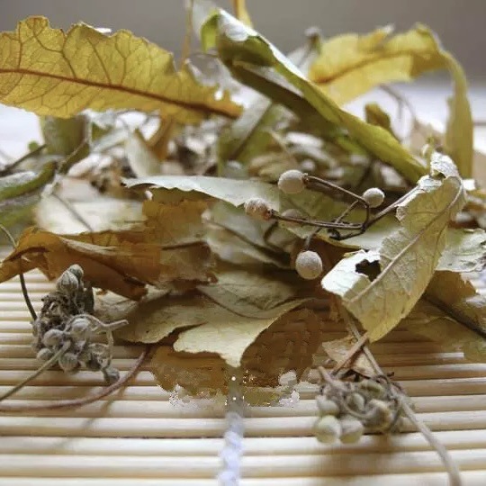 Linden Leaf Tea (Tilia cordata) — Dried菩提叶 Herbal Infusion, 500g - Image 3