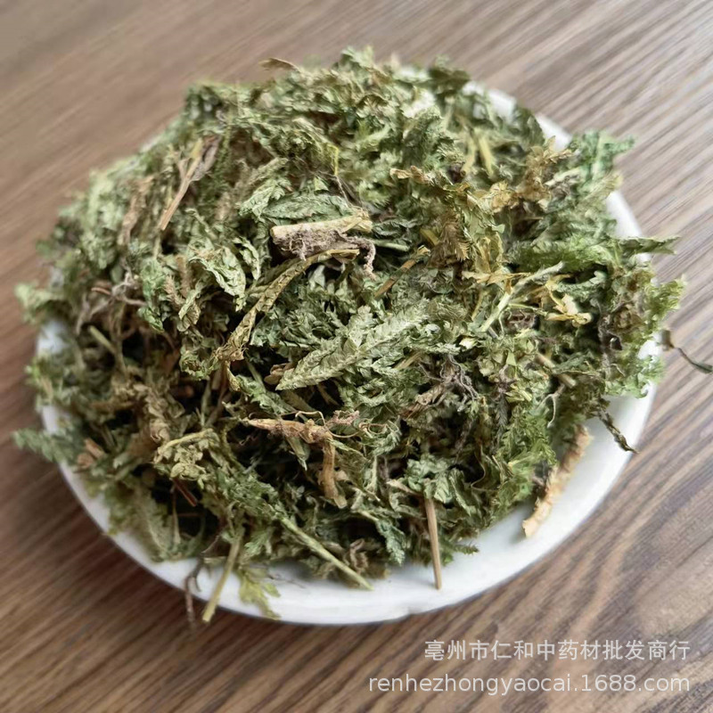 Dried Selaginella Herb Shi Shang Bai Whole Plant Traditional TCM Botanical Bulk Supply - Image 3