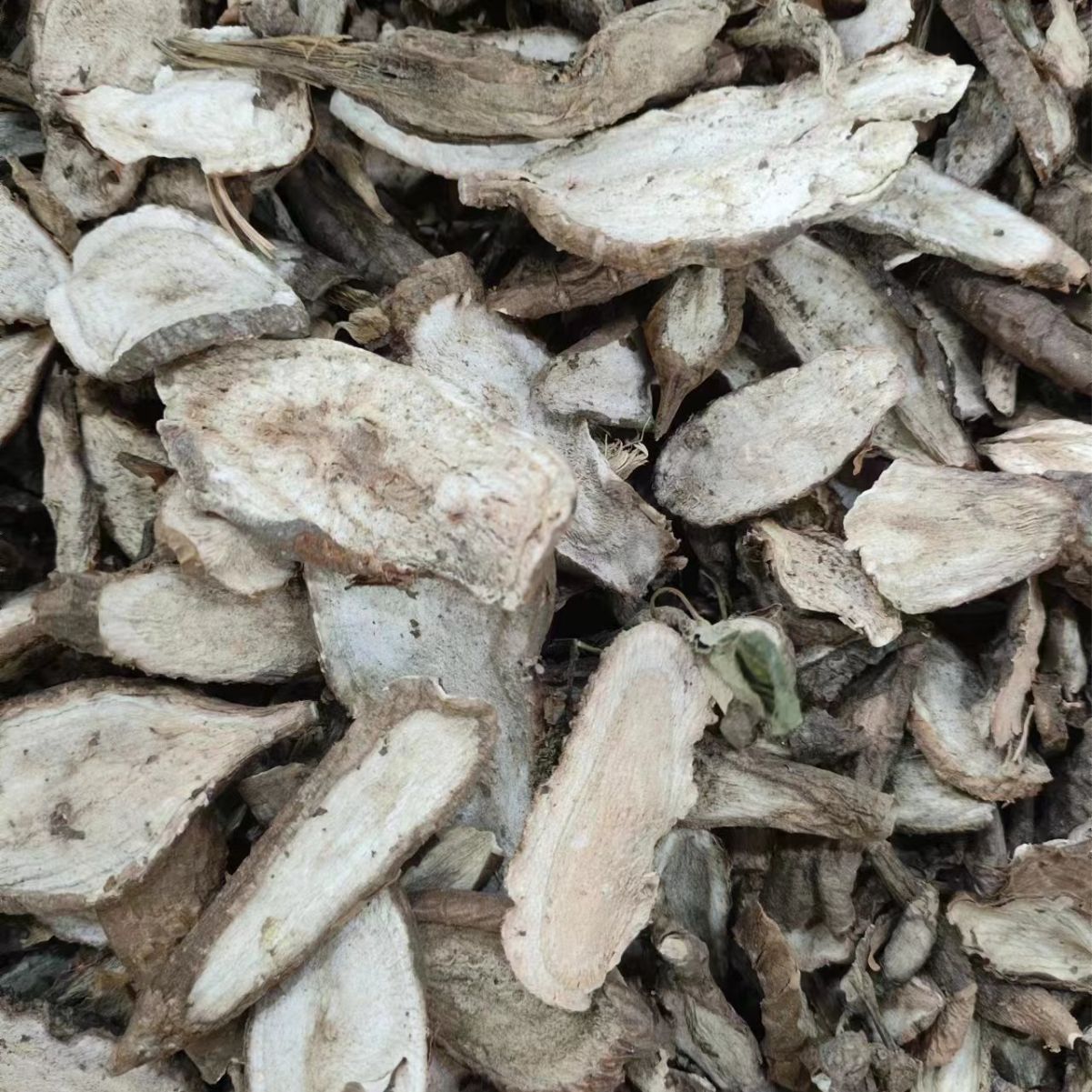 Bai Lian Root (Ampelopsis japonica) — Dried Chinese Herb, Sliced or Powdered - Image 2