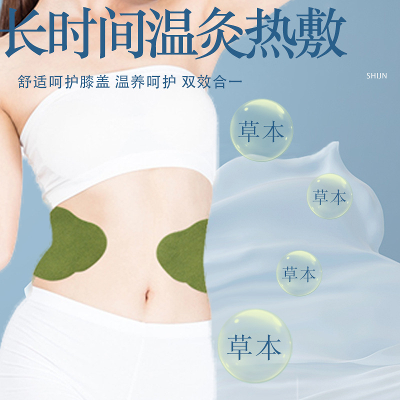 Moxa Waist Patch Herbal Warm Compress 12 Patches per Box for Waist Area - Image 2
