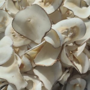Hai Di Ye Dried Slices (Borassus flabellifer) — Food Herb for Soup & Dessert