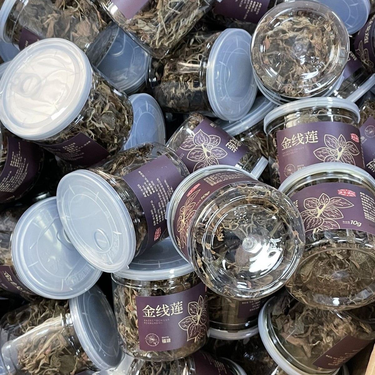 Dried Whole Jin Xian Lian Herb Fujian Origin 10g Jar for Cooking and Soup - Image 3