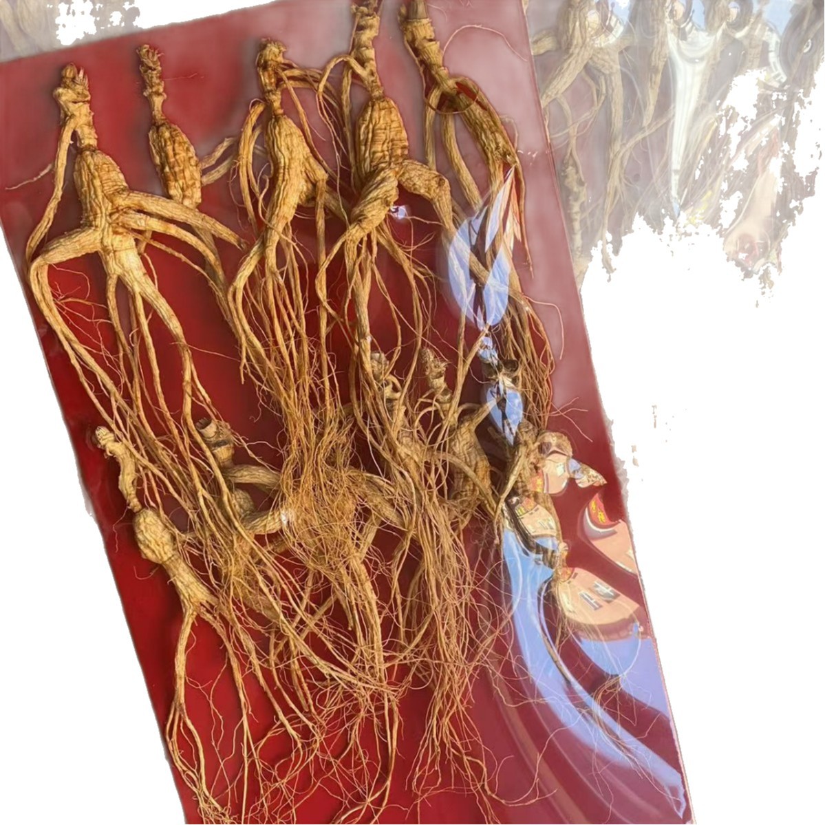 Dried Forest Ginseng Root Slices 100g Sun Dried Jilin Ginseng for Cooking and Decoction - Image 5