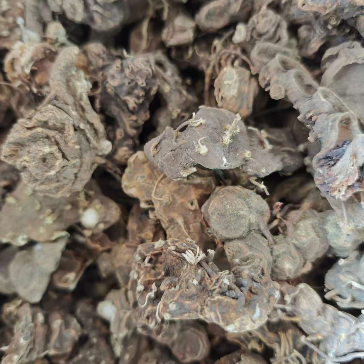 Ba Jiao Lian (Dysosma versipellis) — Dried Chinese Herbal Rhizome, 500g - Image 2