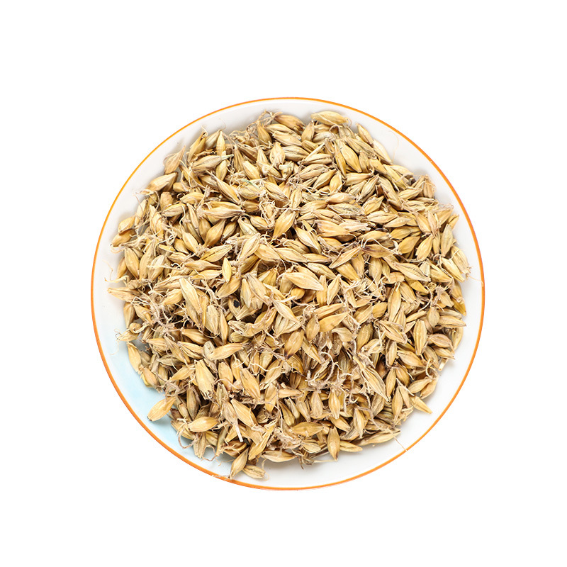 Malt (Hordeum vulgare) — Dried Food-Herb Grain for Tea, Soup & Congee - Image 5