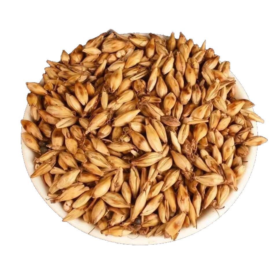 Malt (Hordeum vulgare) — Dried Hulled Barley Sprout for Herbal Tea & Soup, 500g - Image 5