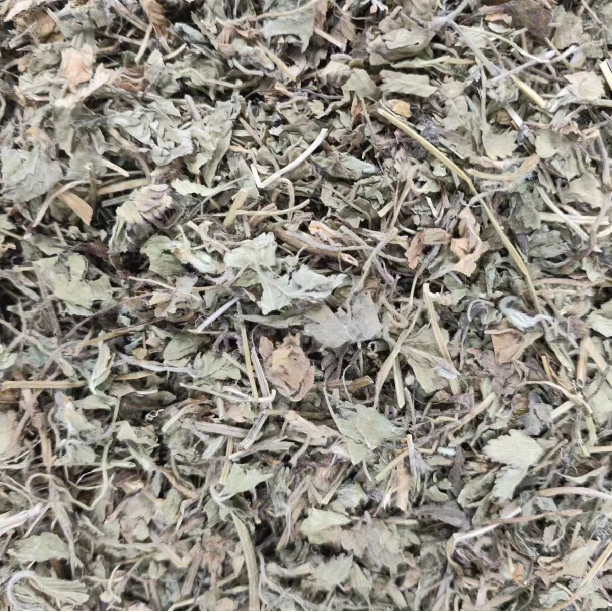 She Mei (Duchesnea indica) — Dried Mock Strawberry Herb, Food-Herb Botanical for Tea & Decoction - Image 4