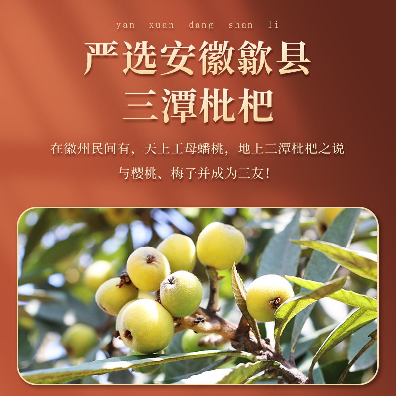 Loquat Autumn Pear Paste 300g Bottle Pi Pa Qiu Li Gao Traditional Herbal Syrup for Daily Wellness - Image 4